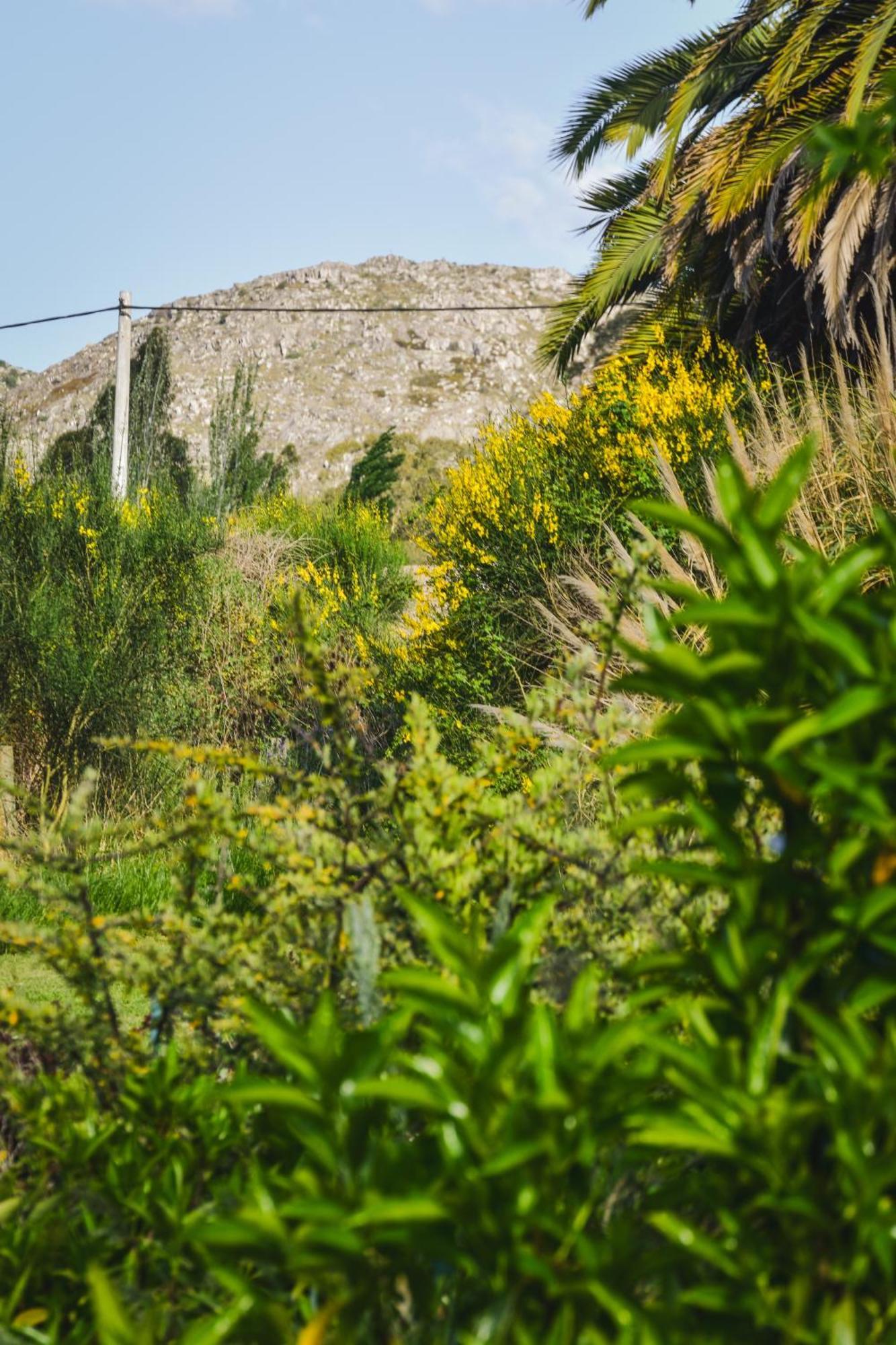 Hostel Tandil